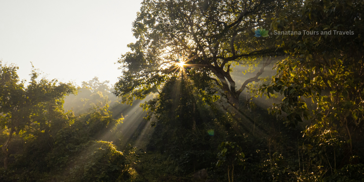 Vizag + Araku + Lambasingi Package